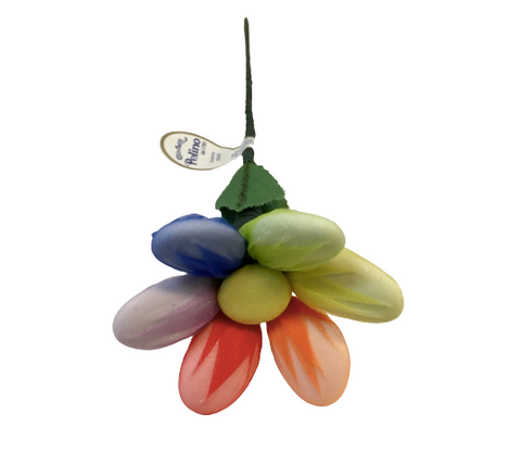 Margherita Arcobaleno Velo