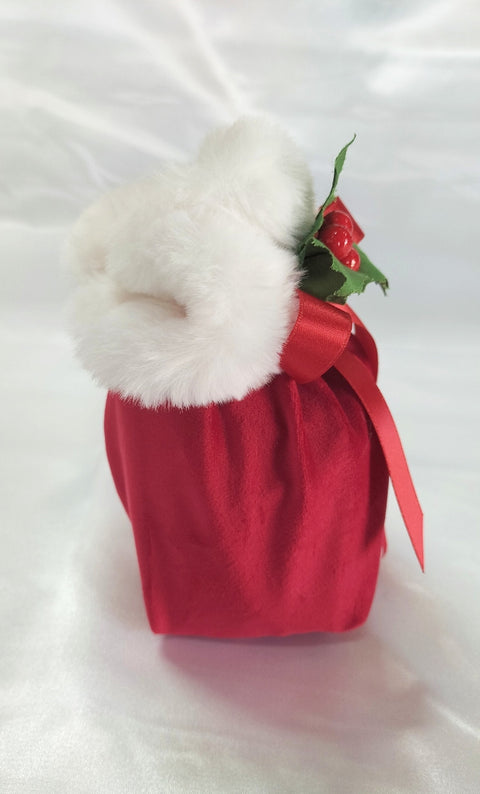 Sacco di Babbo Natale Verde