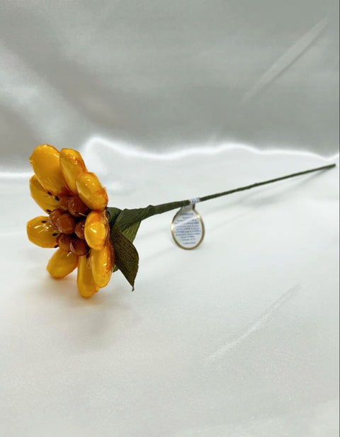 Girasole