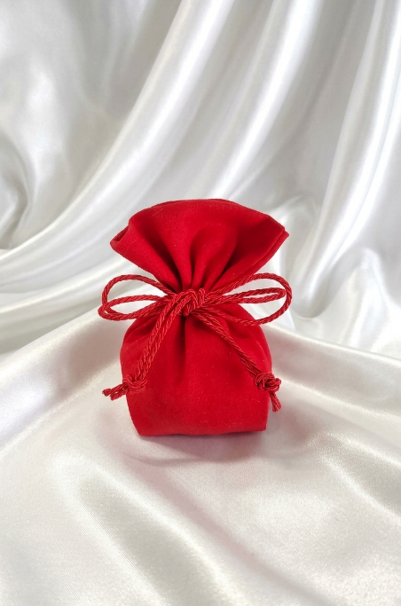 Mini Laurea